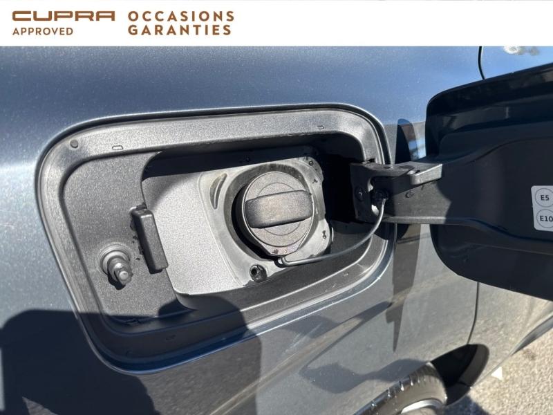 Voitures occasions CUPRA Terramar V Mougins