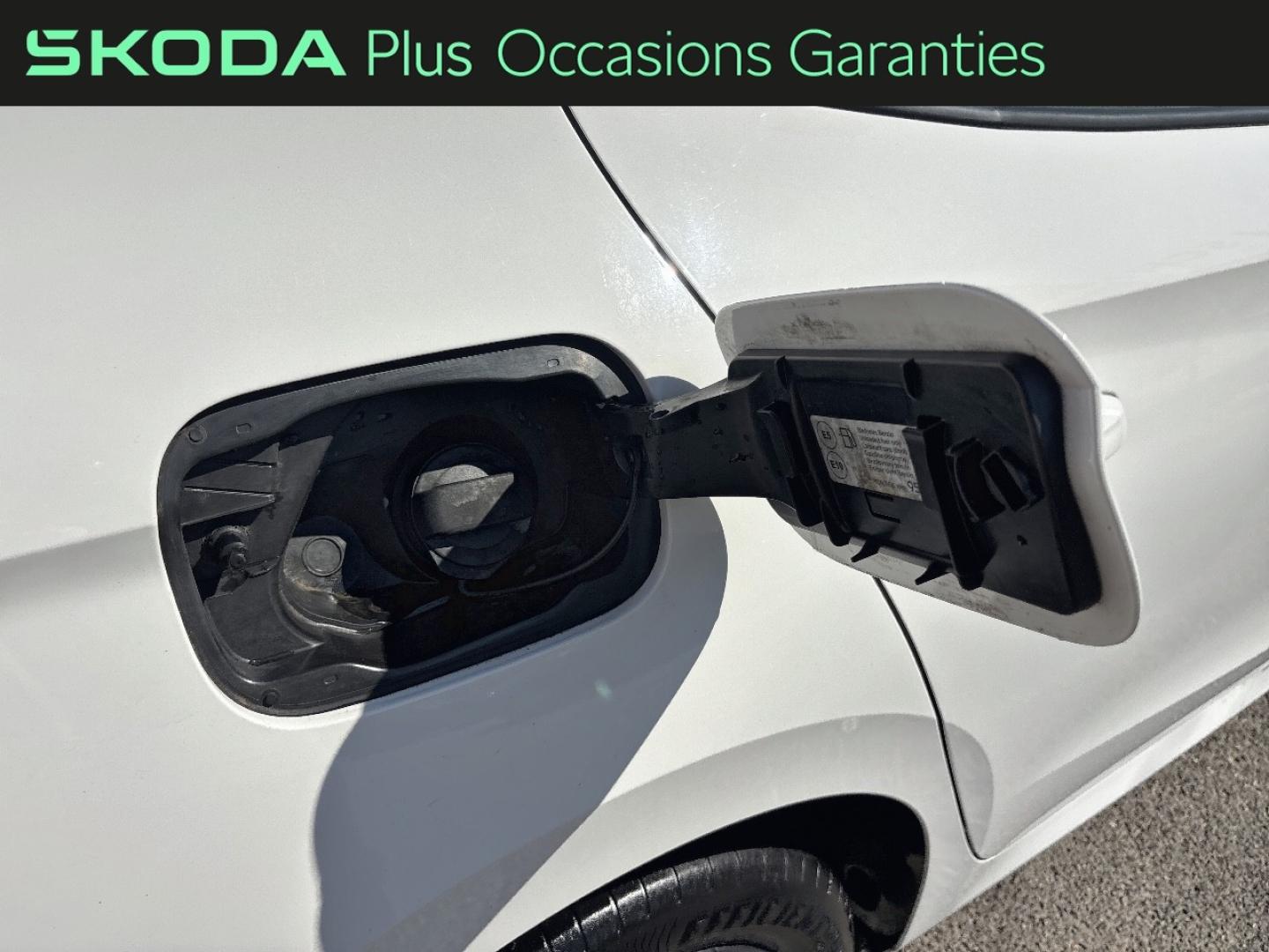 Voitures occasions ŠKODA FABIA Ambition Mougins