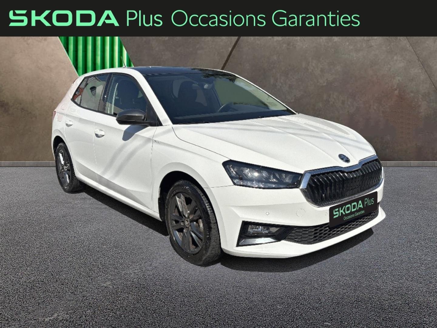 Voitures occasions ŠKODA FABIA Ambition Mougins