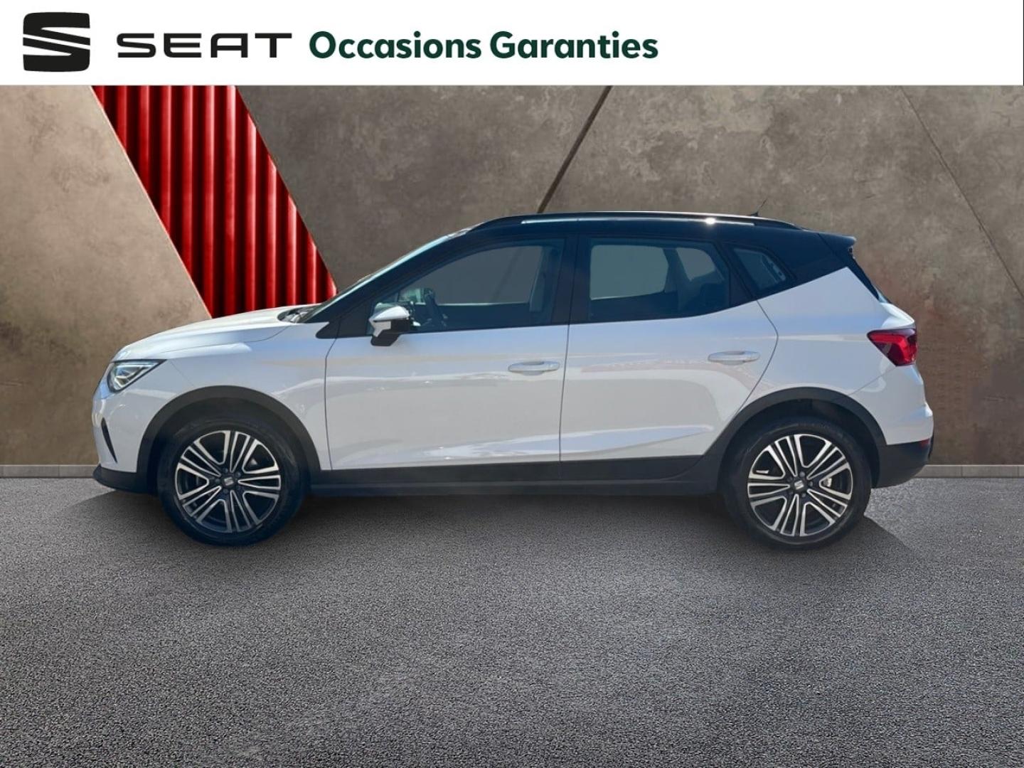 Voitures occasions SEAT ARONA Copa Mougins