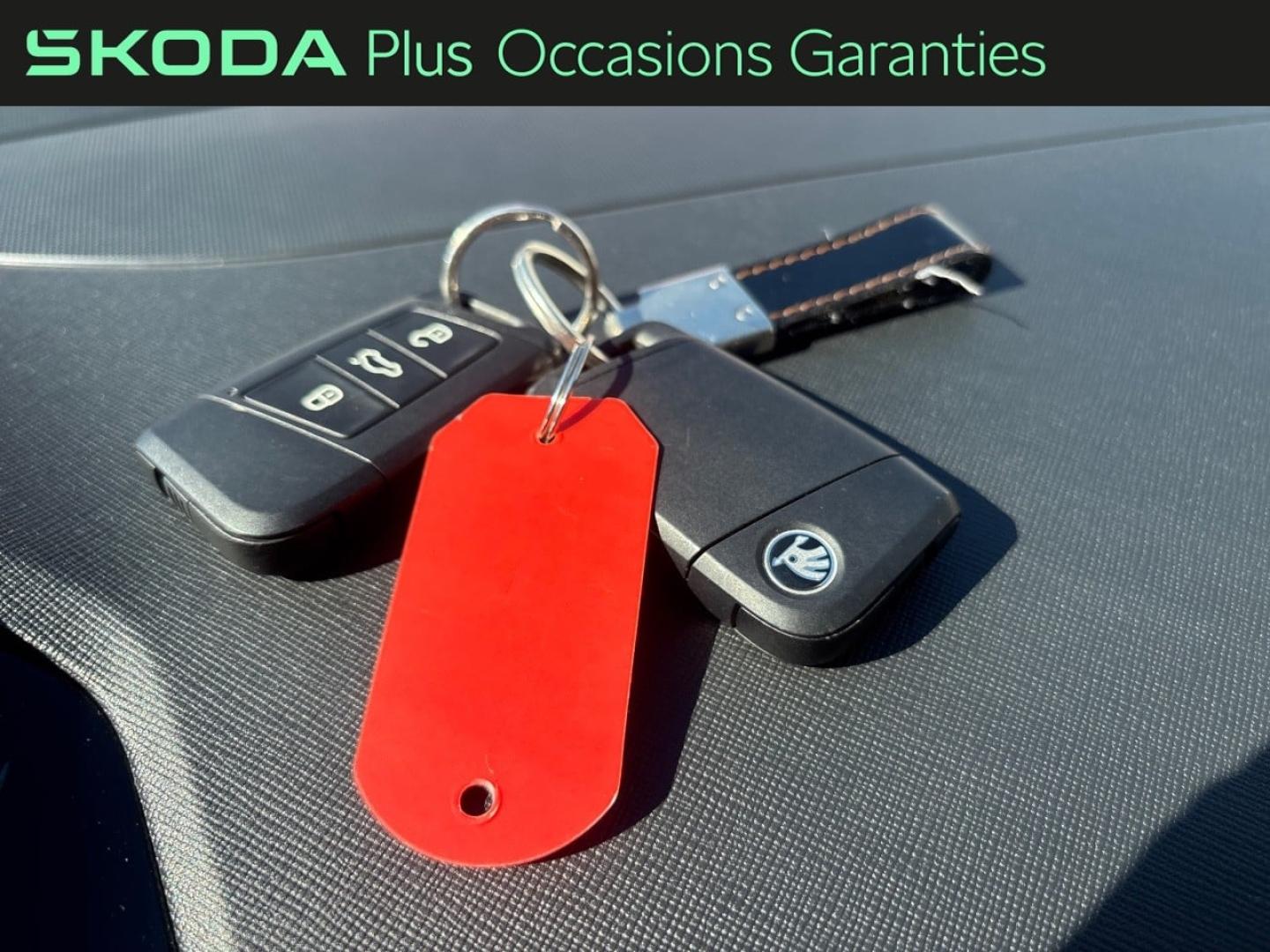 Voitures occasions ŠKODA FABIA Style Mougins
