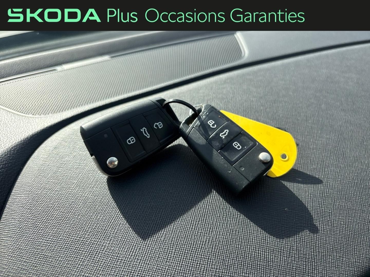 Voitures occasions ŠKODA KAMIQ Monte-Carlo Mougins