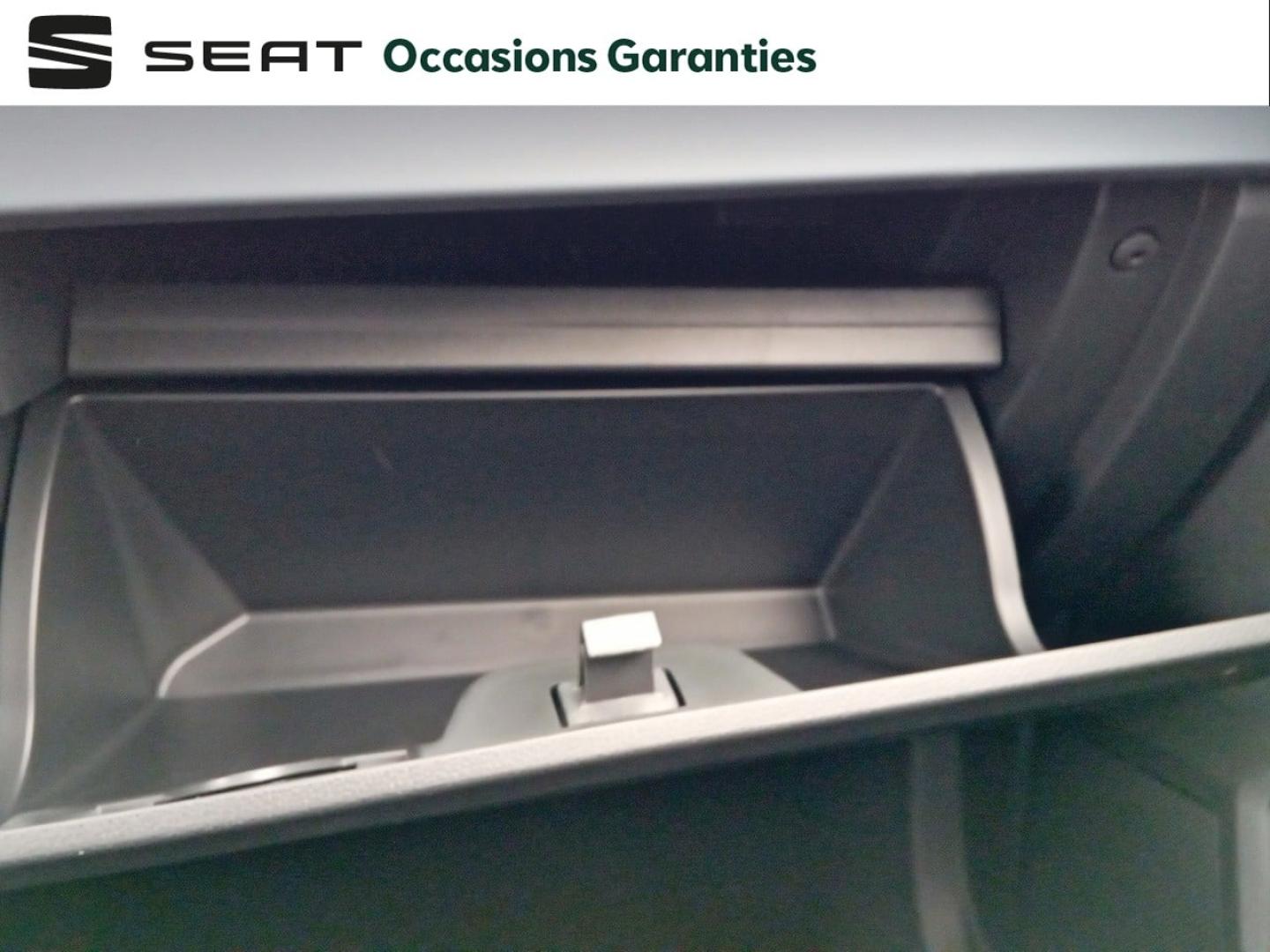 Voitures occasions SEAT IBIZA Copa Nice