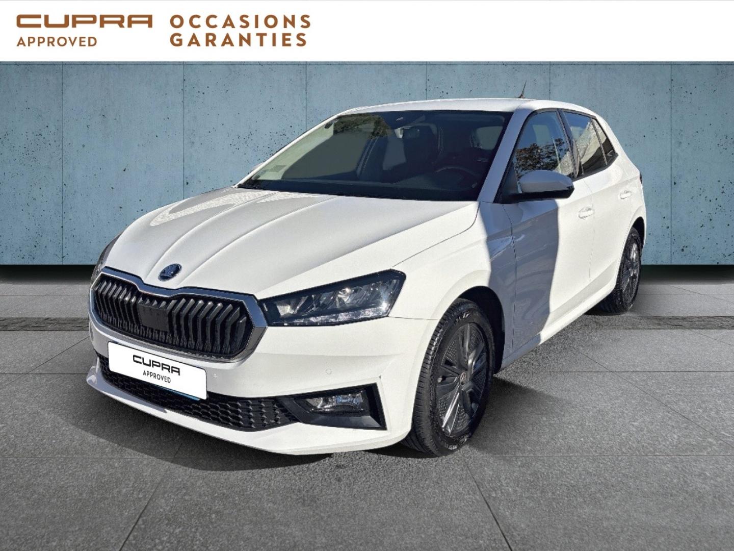 Voitures occasions ŠKODA FABIA Ambition Mougins