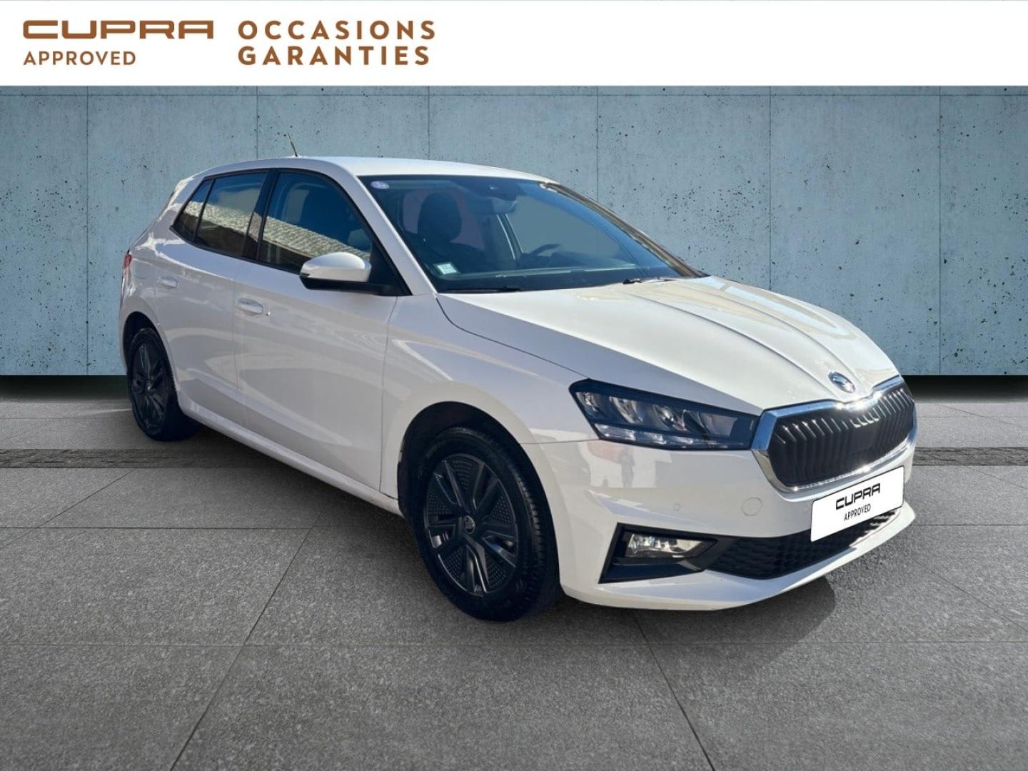 Voitures occasions ŠKODA FABIA Ambition Mougins