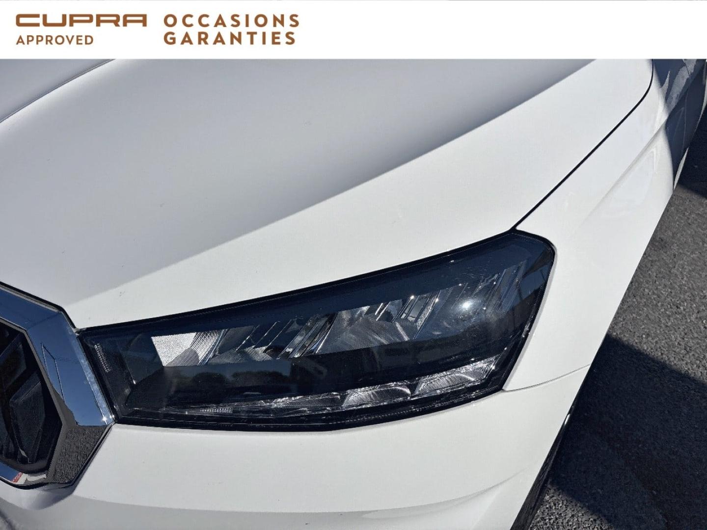 Voitures occasions ŠKODA FABIA Ambition Mougins