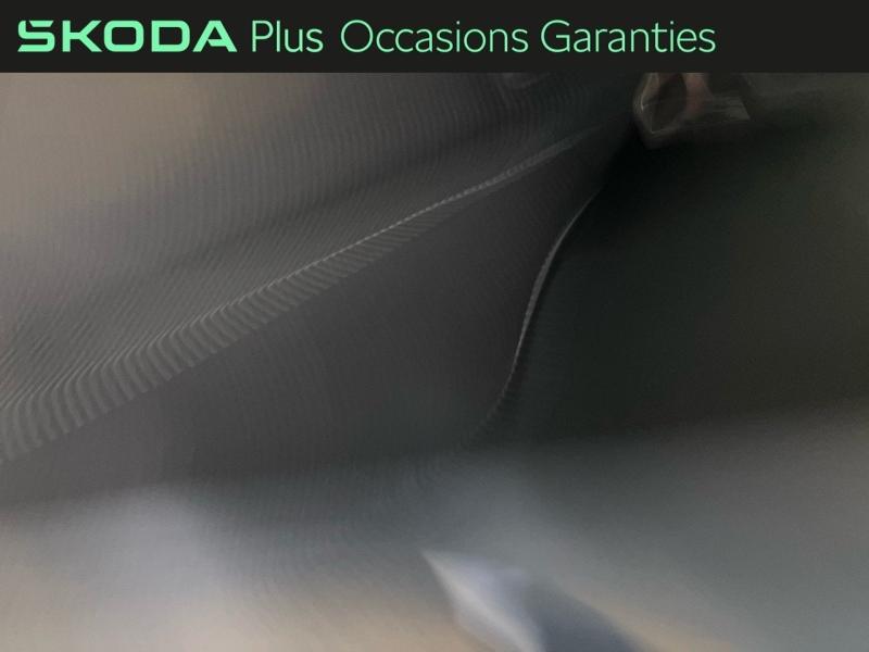 Voitures occasions ŠKODA FABIA Monte Carlo Vezin-le-Coquet