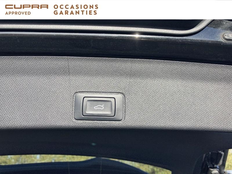 Voitures occasions CUPRA Terramar V Vezin-le-Coquet