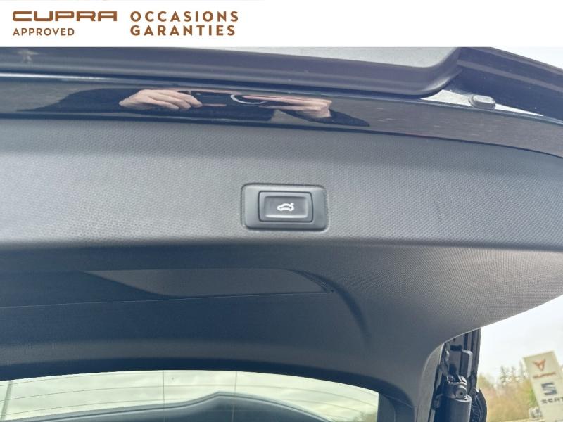 Voitures occasions CUPRA Terramar V Vezin-le-Coquet