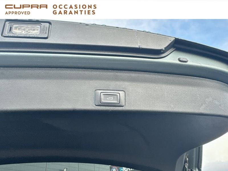 Voitures occasions CUPRA Terramar America s Cup Vezin-le-Coquet