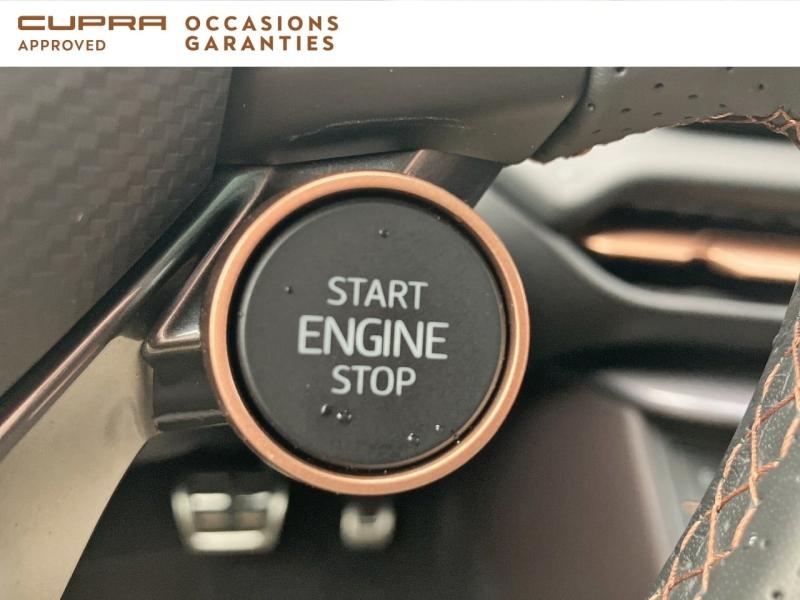 Voitures occasions CUPRA Terramar V Vezin-le-Coquet