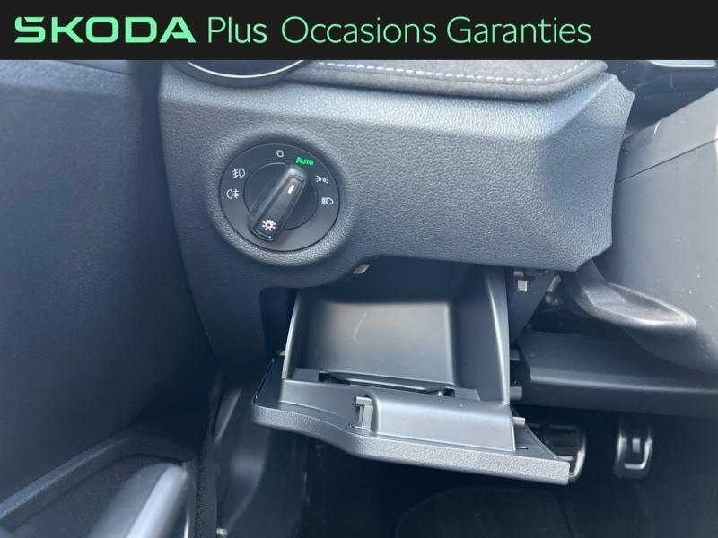 Voitures occasions ŠKODA FABIA Monte Carlo Vezin-le-Coquet