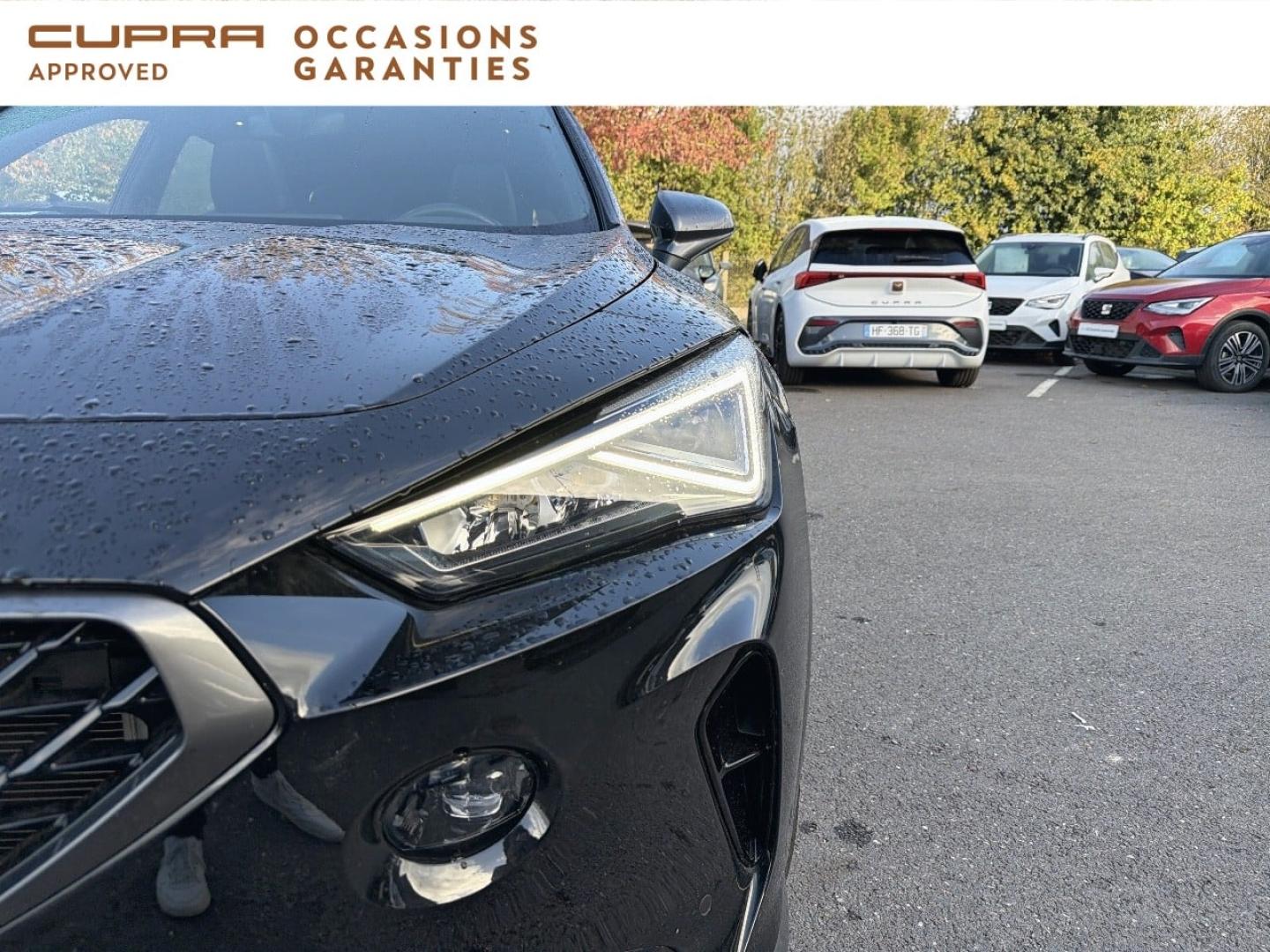 Voitures occasions CUPRA FORMENTOR Business Edition Vezin-le-Coquet