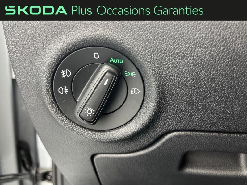 Voitures occasions ŠKODA FABIA Monte Carlo Orvault