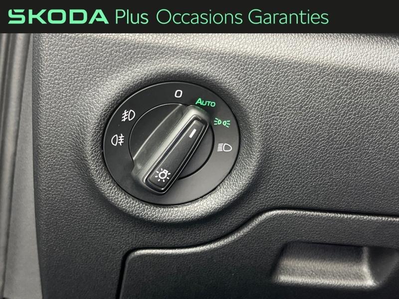 Voitures occasions ŠKODA FABIA Monte Carlo Orvault