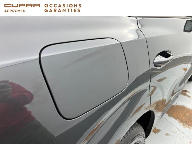 Voitures occasions CUPRA Terramar V Orvault