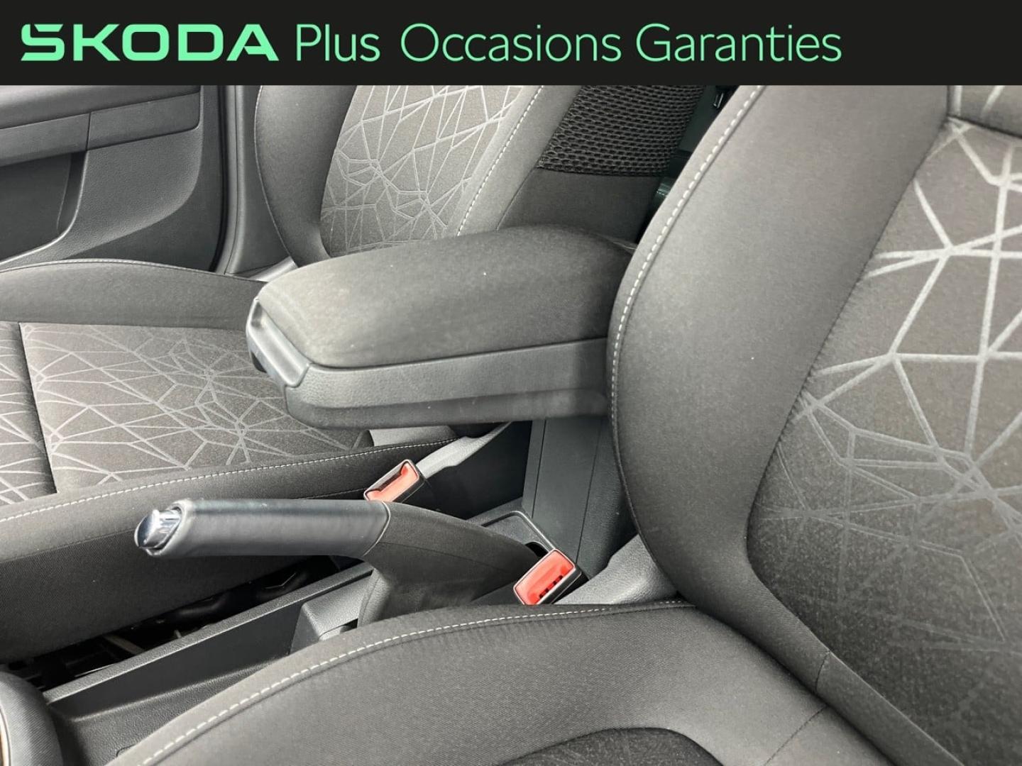 Voitures occasions ŠKODA FABIA Clever Orvault