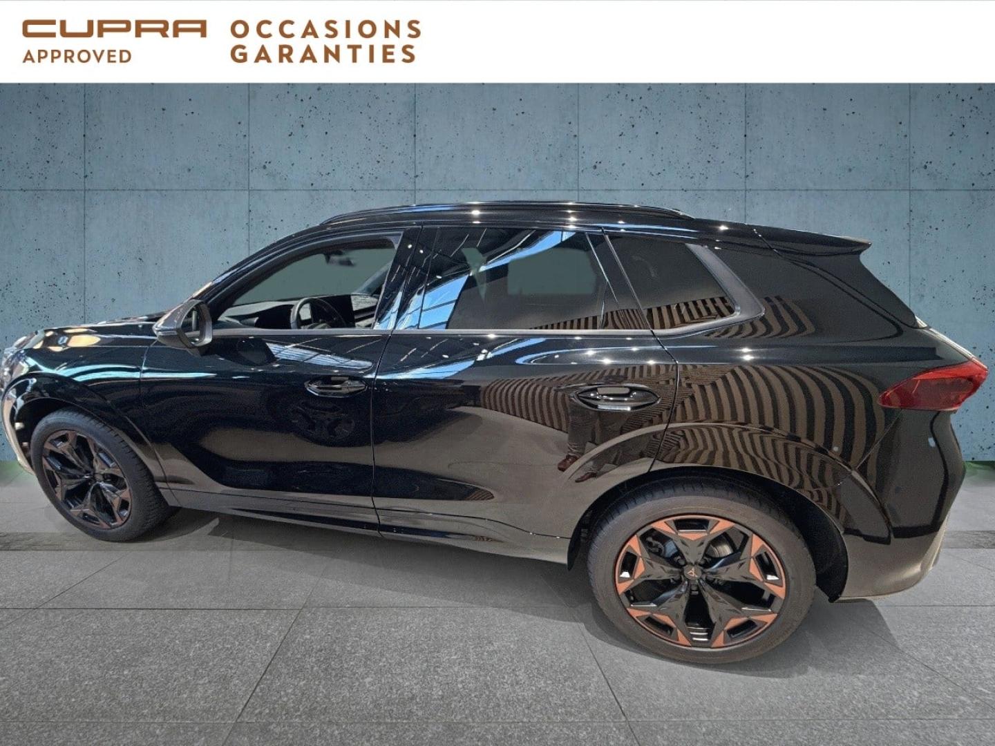 Voitures occasions CUPRA Terramar V Orvault