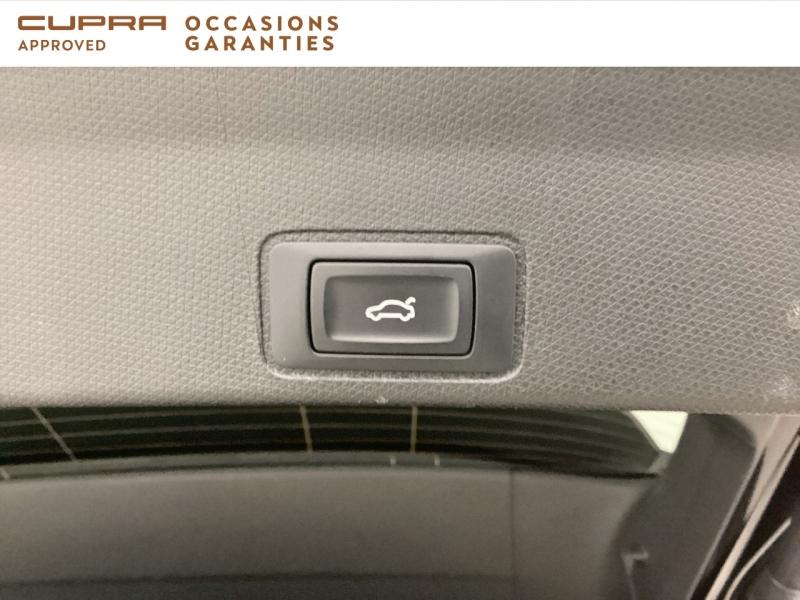 Voitures occasions CUPRA Terramar V Nice