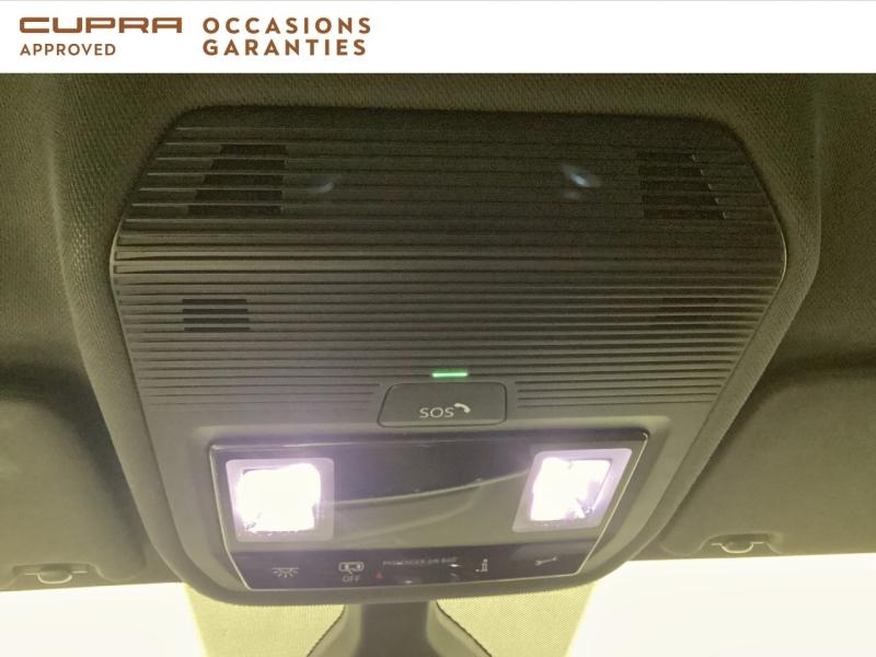 Voitures occasions CUPRA BORN V Nice