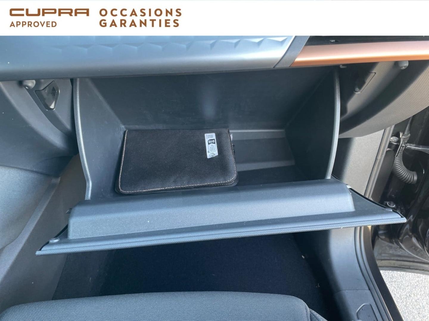 Voitures occasions CUPRA BORN V Nice