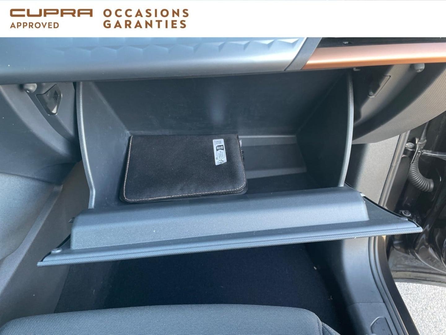 Voitures occasions CUPRA BORN V Nice