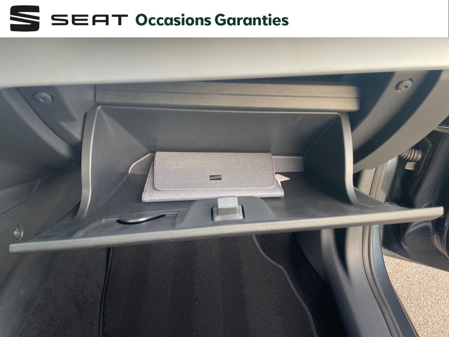 Voitures occasions SEAT IBIZA Copa Nice
