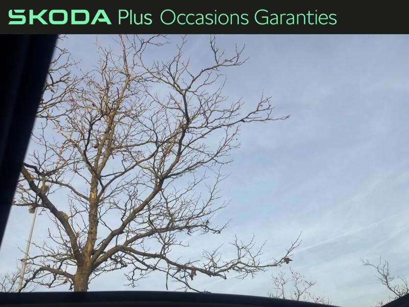 Voitures occasions ŠKODA KAMIQ Monte Carlo Metz