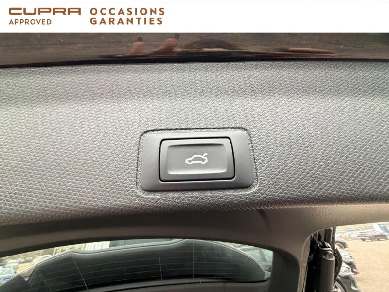 Voitures occasions CUPRA Terramar V Longeville-lès-Saint-Avold