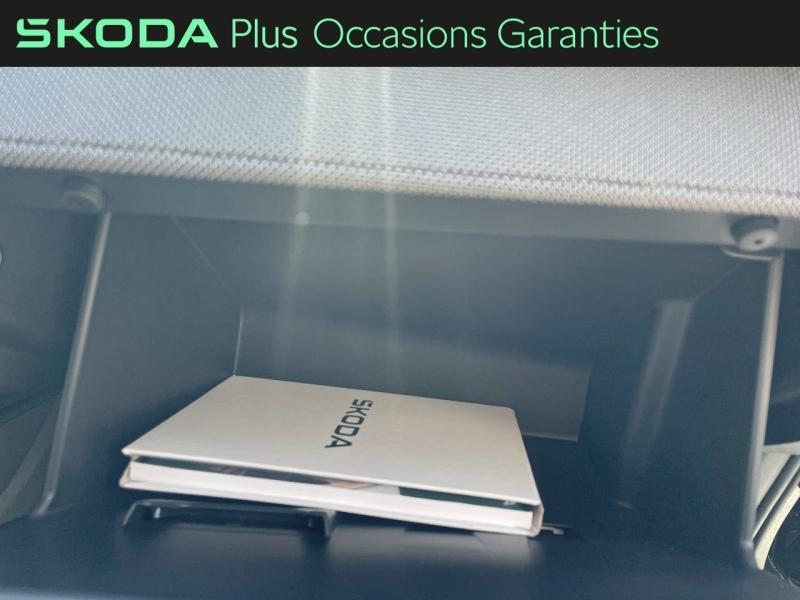 Voitures occasions ŠKODA FABIA Clever Edition Sarreguemines