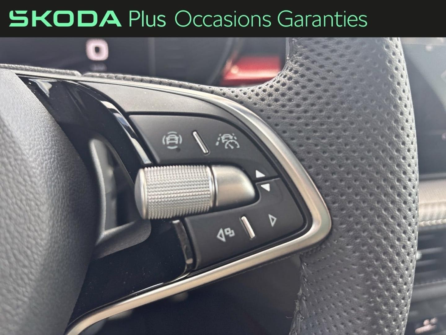 Voitures occasions ŠKODA FABIA Monte Carlo Metz