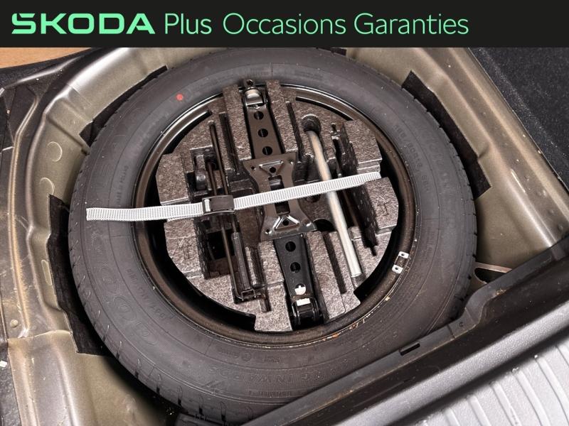 Voitures occasions ŠKODA KAMIQ Monte-Carlo Dechy