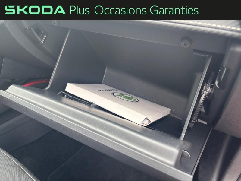 Voitures occasions ŠKODA FABIA Monte Carlo Dechy