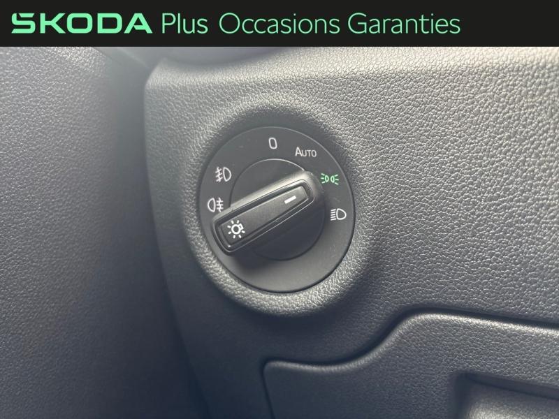 Voitures occasions ŠKODA FABIA Monte Carlo Dechy