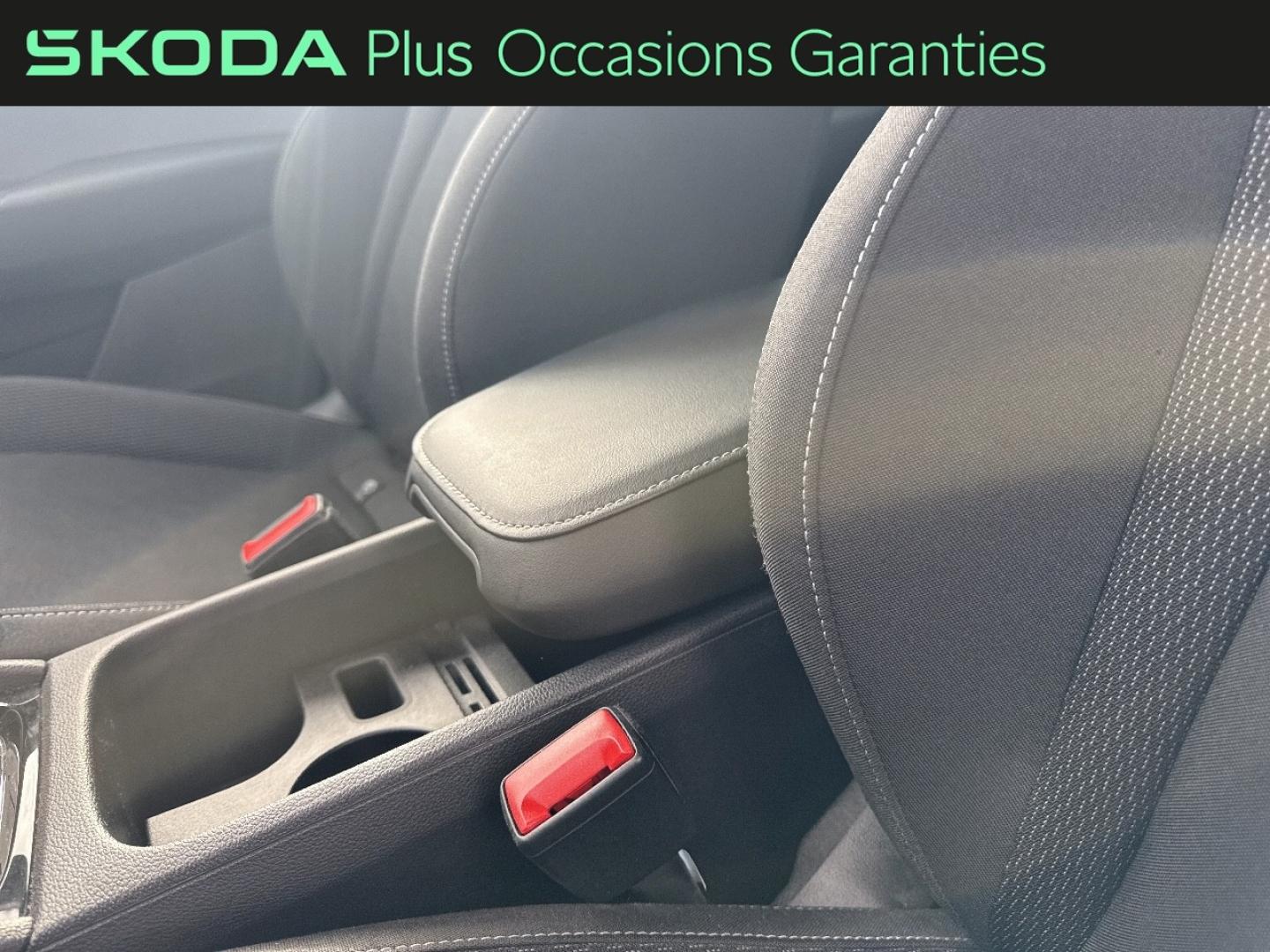 Voitures occasions ŠKODA KAROQ Business Dechy