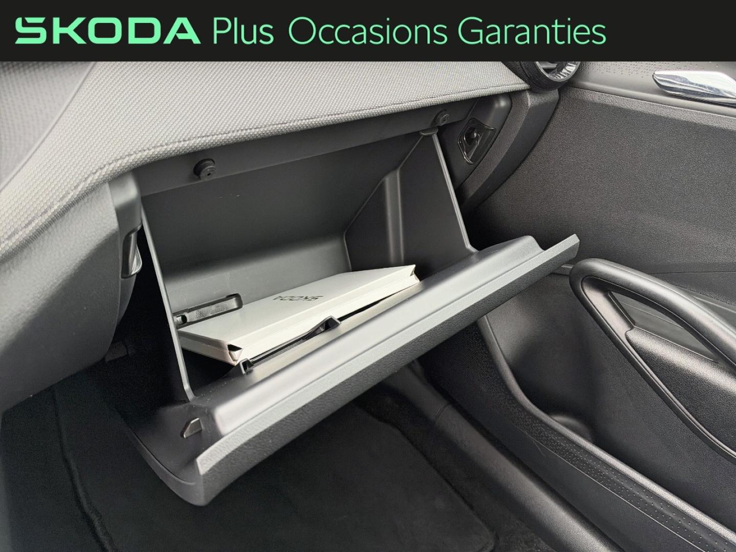 Voitures occasions ŠKODA FABIA Selection Dechy