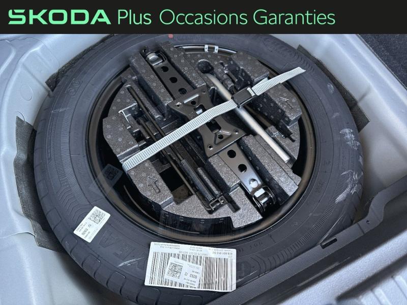 Voitures occasions ŠKODA KAMIQ Monte Carlo Dechy