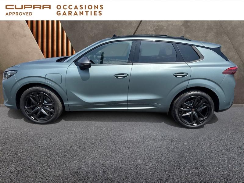 Voitures occasions CUPRA Terramar America s Cup Dunkerque