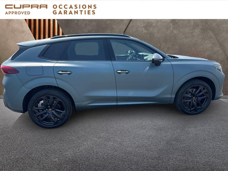 Voitures occasions CUPRA Terramar America s Cup Dunkerque