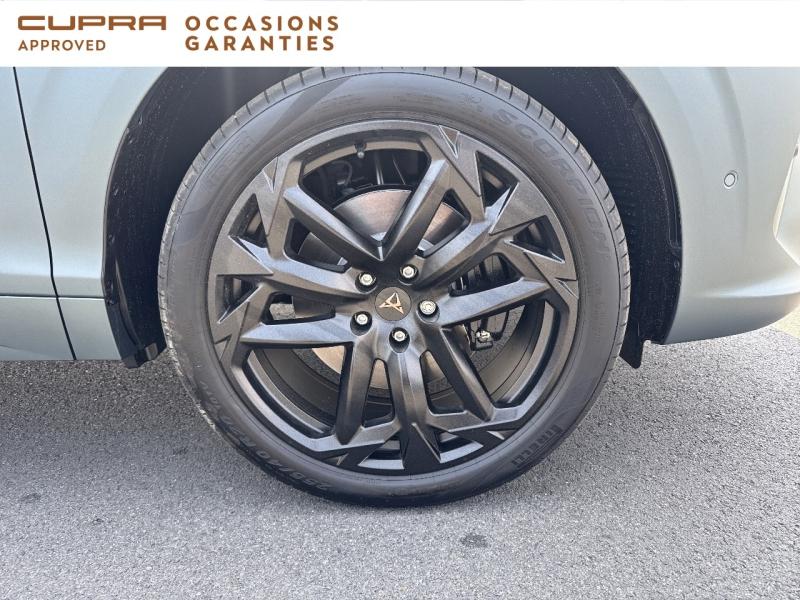 Voitures occasions CUPRA Terramar America s Cup Dunkerque