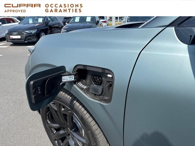 Voitures occasions CUPRA Terramar America s Cup Dunkerque