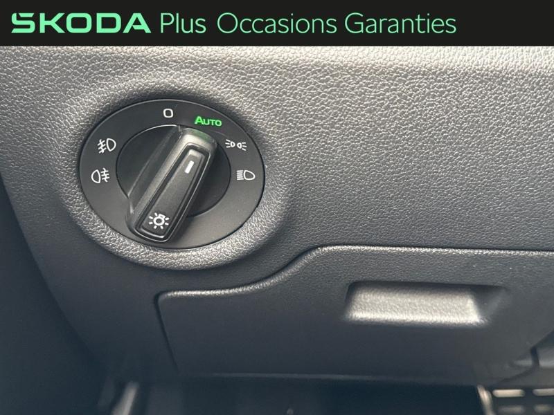 Voitures occasions ŠKODA FABIA Monte Carlo Dechy