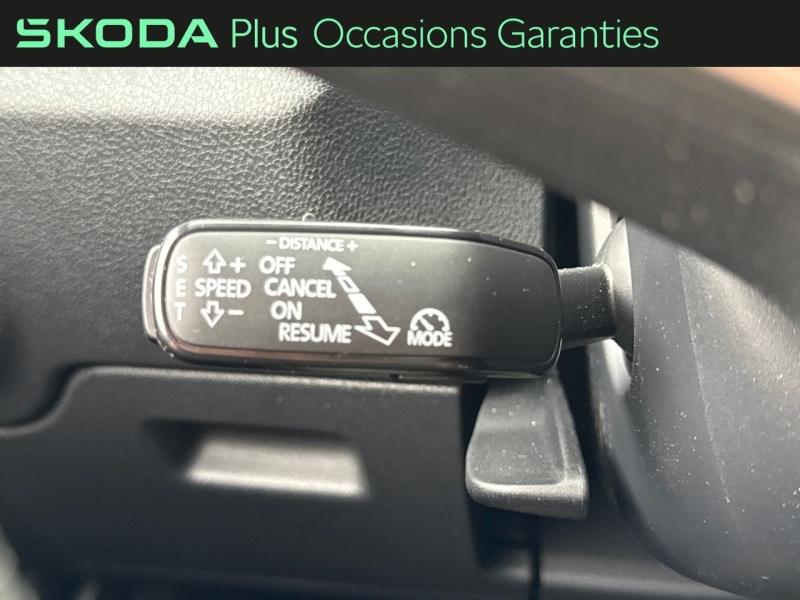 Voitures occasions ŠKODA FABIA Monte Carlo Dechy