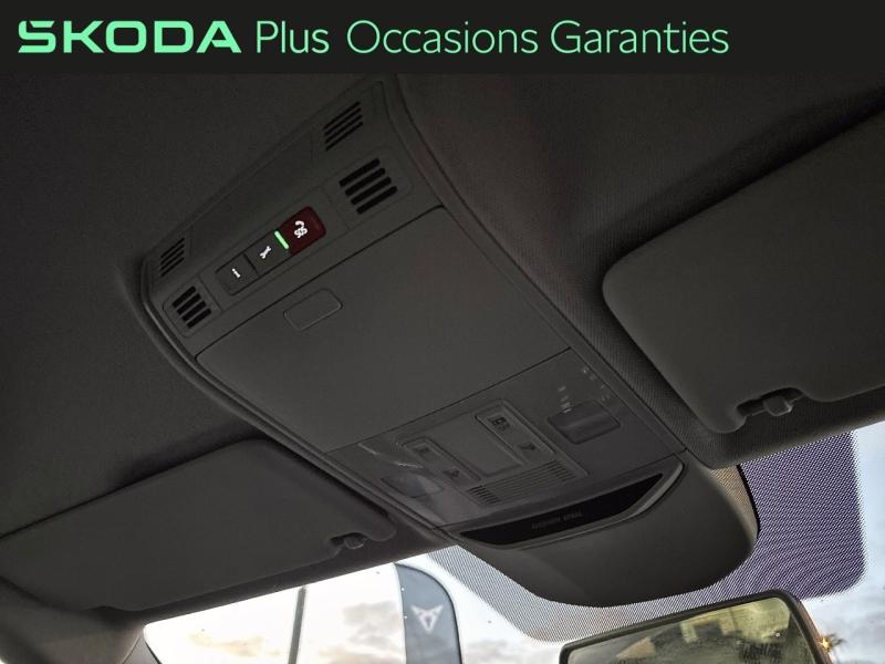 Voitures occasions ŠKODA KAMIQ Young Edition Dechy