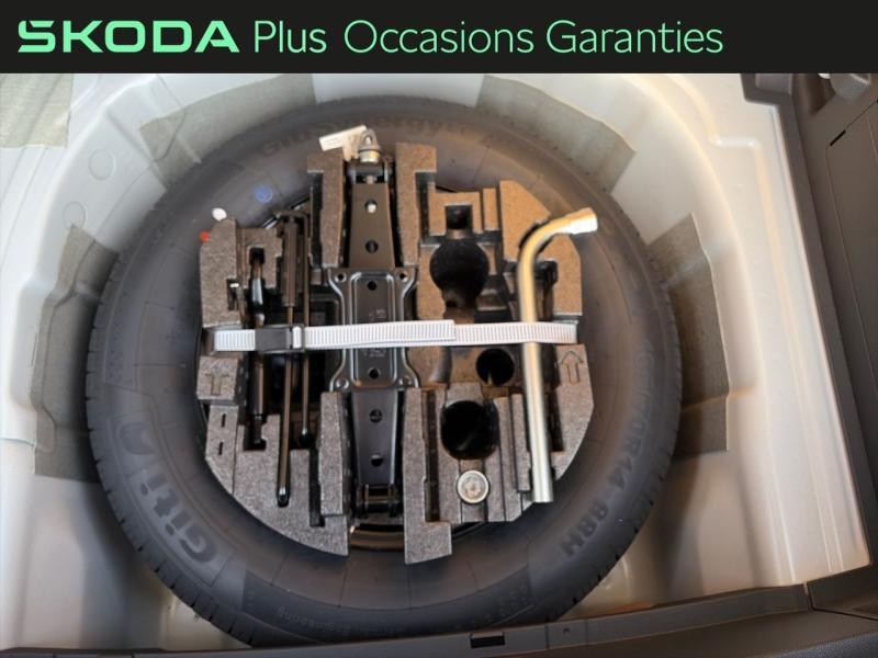 Voitures occasions ŠKODA FABIA Monte Carlo Dechy