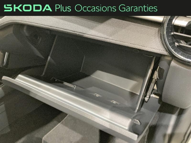 Voitures occasions ŠKODA FABIA Selection Dechy