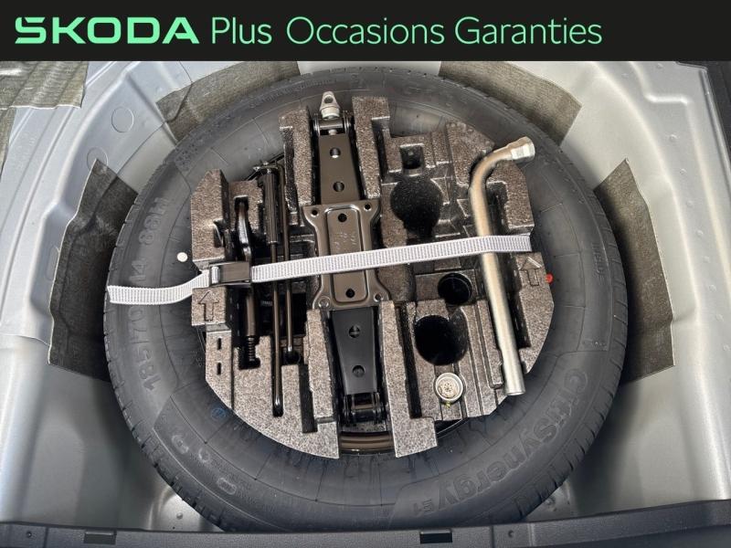 Voitures occasions ŠKODA FABIA Monte Carlo Dechy