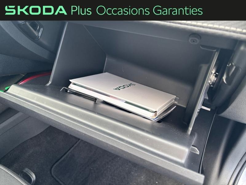 Voitures occasions ŠKODA FABIA Monte Carlo Dechy