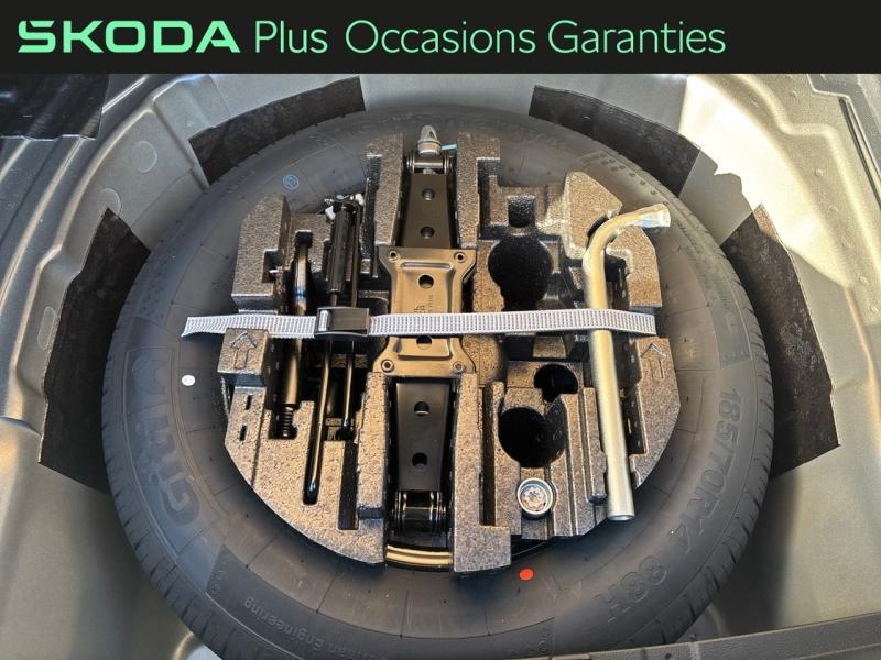 Voitures occasions ŠKODA FABIA Monte Carlo Dechy