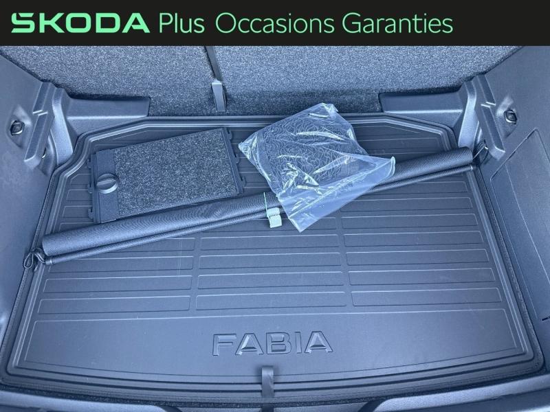 Voitures occasions ŠKODA FABIA Clever Edition Dechy